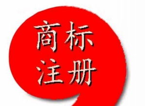 知識產權服務首選指南 為什么西安海納是您的可靠伙伴？